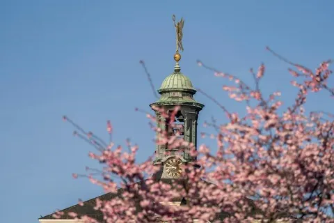 Turmspitze mit Kirschblüten – Münster-Motiv von Sascha Talke