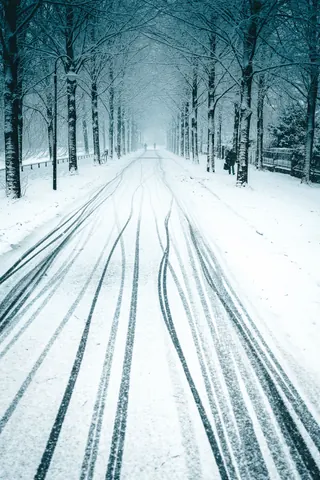 Promenade im Schnee – Münster-Motiv von Sascha Talke