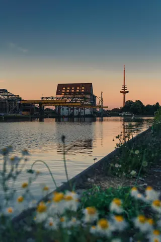 Hafen hinter Wiesenblumen – Münster-Motiv von Sascha Talke