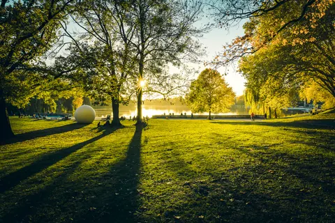 Aaseekugeln im Herbstlicht – Münster-Motiv von Sascha Talke