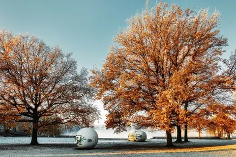 Aaseekugeln unter Frostbäumen – Münster-Motiv von Sascha Talke