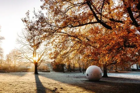 Frostmorgen an der Aaseekugel – Münster-Motiv von Sascha Talke