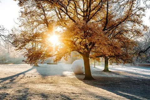 Aaseekugeln in der Wintersonne – Münster-Motiv von Sascha Talke