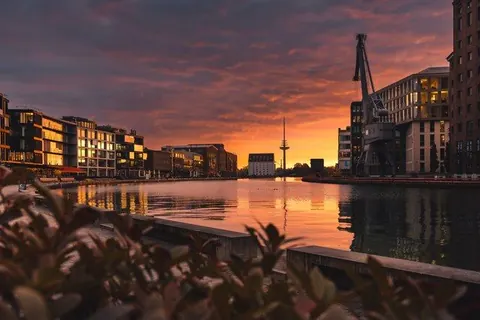Hafenabend hinter Blättern – Münster-Motiv von Sascha Talke