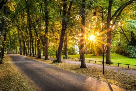 Sonnige Promenade – Münster-Motiv von Thomas Baro