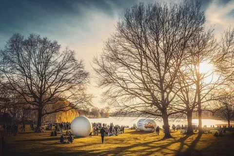 Aaseewiese im Winterlicht – Münster-Motiv von Thomas Branse