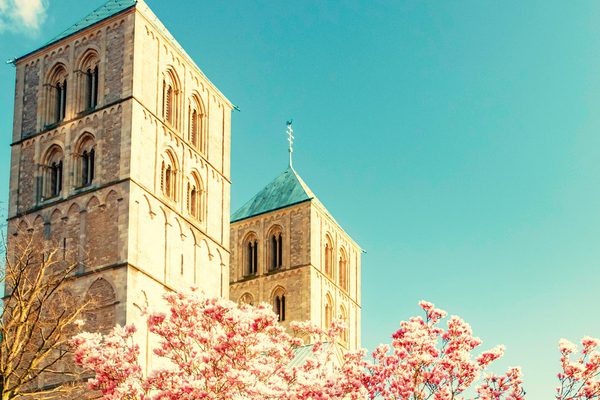 Magnolienblüte am Dom – Münsterbild als Wandbild