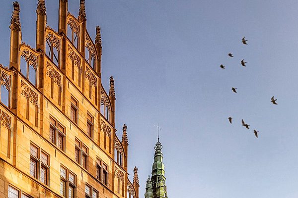 Historisches Rathaus – Münsterbild als Wandbild