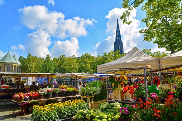 Wochenmarkt am Dom – Münsterbild als Wandbild
